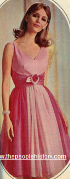 1965 Two Tone Chiffon Dress