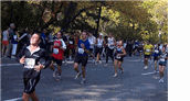 New York Marathon Runners Public Domain Photo