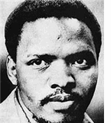 Steve Biko qualifies as fair use under United States copyright law