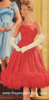 1960 Chiffon Dress