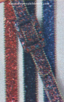 Sparkling Belts 1979