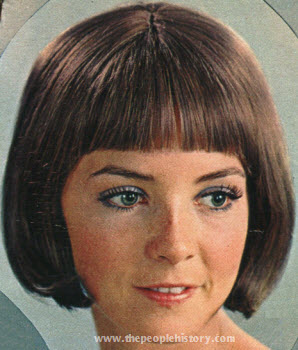 Flemish Girl Wig 1970