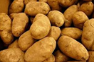 Potatoes (Russet)
